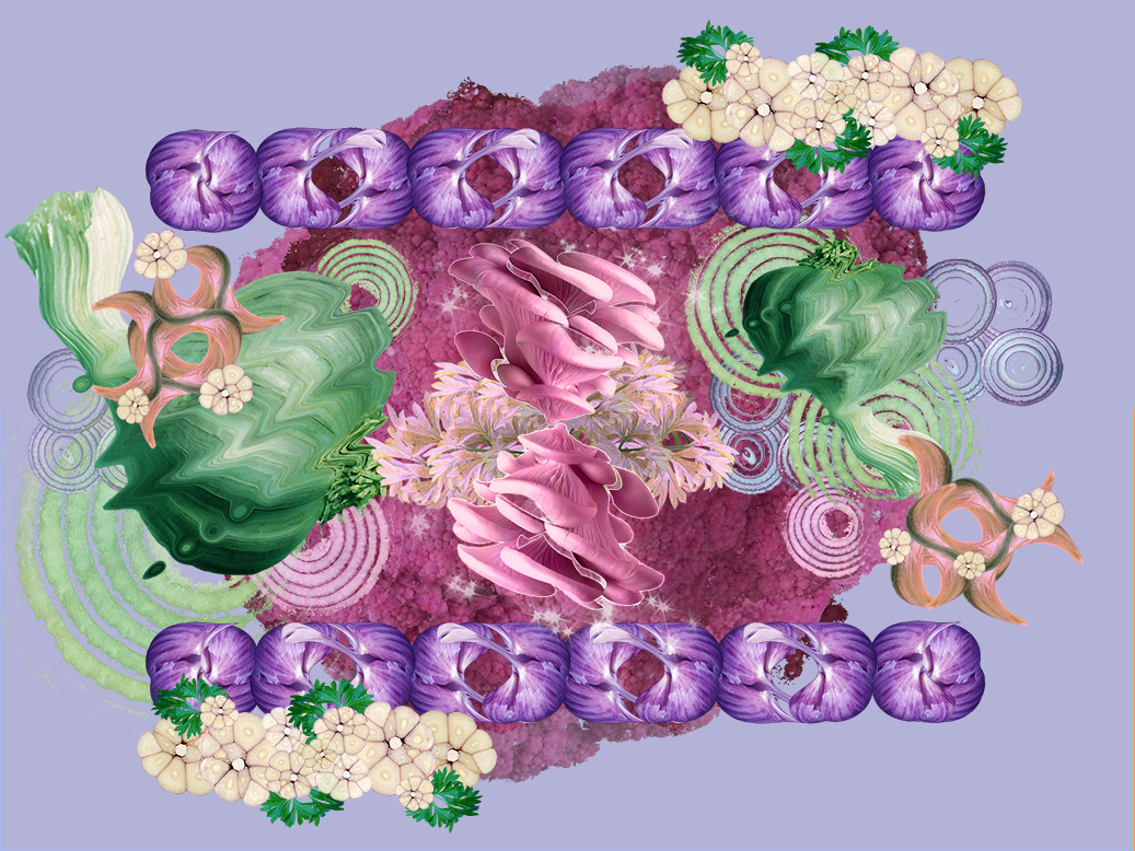 Garlick_Smaller_megapixel